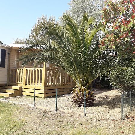 Fréjus Mobil Home Neuf 2 Chambres 6 Personnes Saint Aygulf Plage מראה חיצוני תמונה